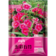 花友秀 五彩石竹種子 種子宿根花卉種籽易活盆栽花卉庭院室外野花種子