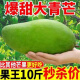 越南玉芒當季新鮮水果9斤現摘應季芒果高糖大青芒大果批發價整箱 精選裝-(9斤) 特大果-(350g+)