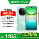 vivo Y300 8GB+256GB 青松 政府補(bǔ)貼 6500mAh藍(lán)海電池 護(hù)眼直屏 AI手機(jī)【移動補(bǔ)貼】