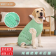 愛帛哆（AIBODUO）狗狗斷奶絕育手術(shù)后生理服拉布拉多中大型犬純棉寵物衣服 綠白條術(shù)后服 6XL（60-80斤背長63cm）