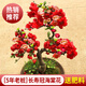 創(chuàng  )京鑫選德國品質(zhì)垂絲海棠花盆栽樹(shù)苗老樁四季開(kāi)花卉植物室內庭不支持退換 長(cháng)壽冠海棠花+肥料(5年老樁) 不含盆