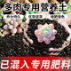 多肉專用土肉肉營(yíng)養(yǎng)土盆栽土種植土多肉小苗土家庭多肉土花卉土壤 27斤多肉嚴(yán)選配方土【免施肥】