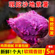 壹畝地瓜一畝地瓜三代人廣西新鮮紫薯紫羅蘭沙地現挖農家自種應季番薯紅薯烤地瓜軟糯香甜 紫羅蘭 紫薯 5斤 中果