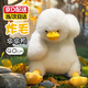 奇怪君炸毛墩墩鴨子玩偶公仔可愛(ài)毛絨玩具小鴨抱枕布娃娃送女孩生日禮物 炸毛墩墩鴨白【40cm】