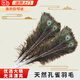 佐之尋孔雀羽毛擺件插花瓶的羽毛天然孔雀翎尾羽DIY裝飾品客廳花瓶擺件 孔雀毛 (70-80cm 6支)
