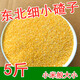 東北細(xì)小碴子黑龍江玉米碴玉米渣5斤農(nóng)家棒子碴玉米糝細(xì)小顆粒碴 細(xì)小玉米碴(小米般大小) 5斤