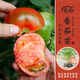 壽禾草莓番茄種子綠腚番茄苗藩茄鐵皮西紅柿水果春柿子四季蔬菜栽菜籽 草莓番茄秧 60棵