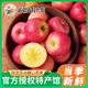 順豐包郵 新疆阿克蘇冰糖心紅富士蘋(píng)果當季新鮮水果中大果賞美疆 阿克蘇5斤特大果280-330g