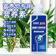貝意品富貴竹水培專用營養(yǎng)液觀音竹轉(zhuǎn)運竹盆栽植物促生根治黃葉通用肥料