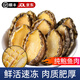 蓮山九鮮新鮮冷凍鮑魚肉 去牙去殼新鮮活鮑現(xiàn)剝?nèi)?nèi)臟火鍋食材送禮 500g 簡裝 （30-40只/斤）
