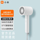 小米電吹風(fēng)機家用負離子護發(fā)大功率宿舍酒店用速干便攜式恒溫低噪吹風(fēng)筒 小米吹風(fēng)機H300全新正品 送集風(fēng)嘴