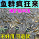 2024新款超聲波誘魚器全自動(dòng)聲納探魚器黑科技太陽(yáng)能聲波釣魚神器 買二送一【發(fā)三個(gè)】