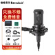 伯倫貝爾 BL-500 電容麥克風有聲書錄音設備專業(yè)主播朗誦配音播音套裝錄音棚級 麥克風配懸臂支架套餐