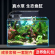 西游水族魚缸水族箱超白玻璃客廳小型迷你桌面免換水家用小金魚缸生態(tài)造景 長(zhǎng)35*寬20*高22-茂木款造景全套