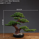 仿真迎客松盆景綠植盆栽客廳辦公室玄關(guān)電視柜家居裝飾新中式擺件 鴻運當頭綠美人松(左)