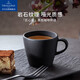 唯寶（Villeroy Boch）匠心巖咖啡杯碟套裝輕奢下午茶杯情侶杯子水杯禮盒新婚禮物送新人