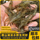 鮮賢農淡水小河蝦微山湖清水河蝦新鮮活蝦速凍無(wú)鹽補鈣大號青蝦醉蝦草蝦 小號（3-4厘米） 250g(凈重)  1盒 4盒（250克/盒）