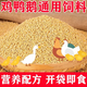 中大雞顆粒飼料100斤批發(fā)雞鴨鵝通用飼料80斤高營(yíng)養(yǎng)肉雞育肥20斤 小雞顆粒飼料【營(yíng)養(yǎng)促生長(zhǎng)發(fā)育】 20斤【吃得好長(zhǎng)得好】