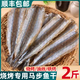 馬步魚新鮮針魚干棒棒魚干無鹽淡干漁家風干魚干燒烤專用飯店同款 500g【約60條】