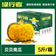 綠行者（GREER）真貝貝南瓜 栗香小南瓜香甜軟糯新鮮蔬菜生鮮粉糯甜香粗糧生鮮 貝貝南瓜 5斤
