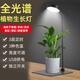彪色LED植物生長(cháng)燈全光譜智能調光調色盆栽綠植花卉室內仿太陽(yáng)光補光 9W定時(shí)調光調色款