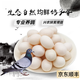 均鮮新鮮鴿子蛋 土鴿蛋產(chǎn)婦孕婦寶寶農(nóng)家特產(chǎn)年貨節(jié)禮盒送精美禮品 30枚 610g 左右精選鮮鴿蛋