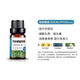 ACHOTREE NATURAL ESSENTIAL OIL40款單方精油純植物純天然香薰助眠身體按摩刮痧護膚護發(fā)香水diy 桉樹(shù)/尤加利 10mL