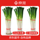 京覓山東大蔥新鮮凈重4.5斤 50CM+去半葉新鮮蔬菜源頭直發(fā)包郵