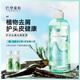 巴登魔瓶 澳洲茶樹(shù)去屑氨基酸護(hù)發(fā)洗發(fā)水480ml植物氨基酸洗發(fā)露無(wú)硅油 茶樹(shù)洗發(fā)水480ml