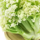 新鮮松花菜青梗散花菜農家種植現采花椰菜時(shí)令蔬菜花白花菜 凈重4.5[現采現發(fā)] 現現發(fā)新鮮