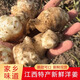 江西洋姜新鮮現挖鬼子姜菊芋當季農家蔬菜可腌制泡菜咸菜野生洋姜 5斤