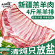 三疆牧羊 新疆羊肉新鮮4斤羔羊肋排羊排南疆巴音布魯克黑頭羊整塊高端禮盒 乳羔羊排2000g（整塊）