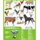 COLLECTA英國CollectA我你他仿真動物模型玩具野生史前恐龍昆蟲海洋套裝 農(nóng)場動物組合(16只)送收納箱畫冊