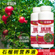花員外石榴專(zhuān)用肥料石榴樹(shù)苗營(yíng)養液開(kāi)花掛果盆栽地栽盆景番石榴葉面花肥 石榴樹(shù)營(yíng)養液一瓶