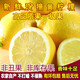 安岳黃檸檬新鮮現(xiàn)摘皮薄多汁一級(jí)果不打蠟斤裝非廣東香水青檸檬 3斤 中果