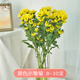 悅多彩小雛菊  鮮花速遞云南基地直發(fā)乒乓菊花材辦公室家庭水養鮮切花 小雛菊 （黃色系 ）8-10支