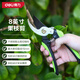 得力（deli）工具剪枝修枝剪刀花枝剪果樹園林園藝剪修剪樹枝花藝剪省力大粗枝 【8英寸SK5】果枝剪-DL2789