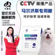 犬嘉樂(lè)馬爾濟(jì)斯犬專用狗糧幼犬成犬通用美毛鮮肉無(wú)谷凍干犬糧5斤10斤裝 鮮肉犬糧【添加十種鮮肉凍干】 5kg 十斤劃算裝（5斤*2袋）