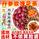 康琪愛倍丹參玫瑰花茶(兩盒)150g同質(zhì)丹參玫瑰花中藥材干花泡水茶