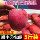 順豐正宗新疆香妃海棠果雞心果5斤冰糖小蘋(píng)果孕婦當季新鮮水果W3 5斤 普郵實(shí)惠