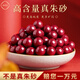 福進(jìn)家正品朱砂散珠高含量原礦紫金砂帝王砂珠子本命年禮物DIY配珠手串 6毫米/5顆【送繩子引線】 紫金砂