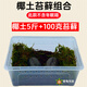 萌龜飼家烏龜冬眠用品巴西龜過冬椰土苔蘚草沙土墊材保溫冬眠窩烏龜冬眠箱 免泡椰土5斤+100克苔蘚