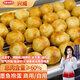 興威墨魚抱蛋1.2kg(300g*4包)火鍋丸子爆蛋墨魚丸花枝丸燒烤食材商用