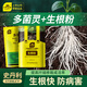 史丹利多菌靈生根粉多菌靈加生根粉生根液多靈菌植物通用型滅菌靈 生根粉500g+多菌靈100g 史丹利榮譽(yù)出品