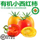 諸氏橙品【有機(jī)】櫻桃番茄 小西紅柿紅黃圣女果 新鮮時(shí)令孕婦水果生吃沙拉 【有機(jī)櫻桃番茄雙拼】 800g 嘗鮮