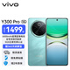vivo Y300 Pro 5G手機 6500mAh藍海電池 80W遠航閃充 7.69mm超薄機身 索尼5000萬(wàn)超清主攝 拍照 AI 金鑲玉 12GB+256GB 官方標配