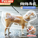 曇蓓漫狗狗雨衣中小型犬雨披柴犬柯基泰迪雨衣寵物用品可栓繩下雨天遛狗 【斗篷式狗狗雨衣-透明白邊】 XL 丨建議15-22斤 EVA材質(zhì)/健康防水/透氣舒適