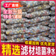 魚缸濾材細(xì)菌屋配菌球過(guò)濾材料石英生化球配菌納米中空石水族用品 十八合一濾材2.5kg(配網(wǎng)袋)