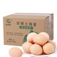 逸清源谷飼雞蛋40枚/3.2斤 無(wú)抗生素 雞蛋京東自營(yíng) 源頭直發(fā)包郵