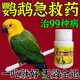 鸚鵡專(zhuān)用藥炸毛腸炎拉稀腹瀉綠便感冒痢疾飼料常備鳥(niǎo)生病一滴活 50g 1瓶 【50片】鸚鵡病全治